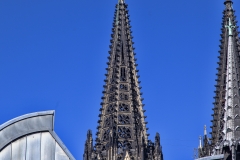 MG_5381