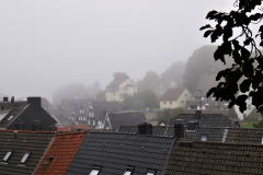 P1010998-Groß