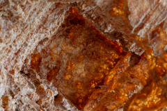 MG_4868-Gross