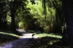 Ruhe im Botanischen Garten