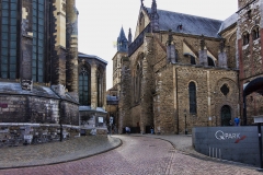 _MG_0698