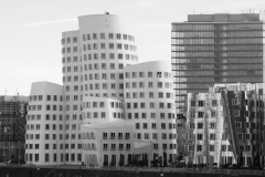 P1090640_ShiftN-Gross