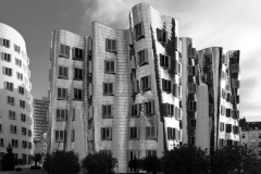 P1090662_ShiftN-Gross