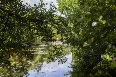MG_0711-Gross