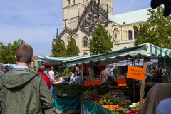 Der Markt auf dem Domplatz