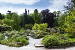 Botanischer Garten