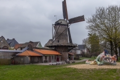 _MG_1711
