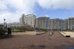 MG_0976-Gross