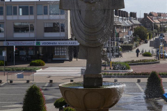 MG_0986-Gross
