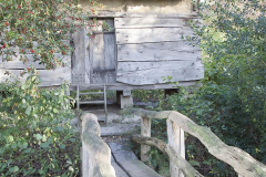 MG_4906-Gross