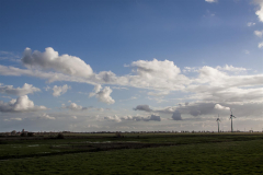 MG_5104-Gross