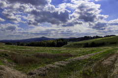 Unbenanntes_Panorama2-Gross