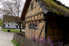 P1040721