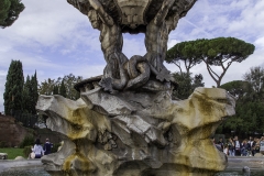 Brunnen gegenüber dem Bocca della Verita