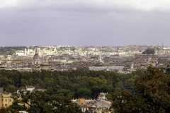 MG_4568