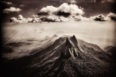 20260312_111919-Gross