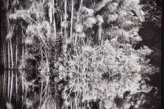 20260312_115642-Gross