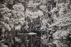 20260312_115702-Gross