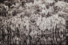 20260312_115851-Gross