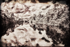 20260312_115919-Gross