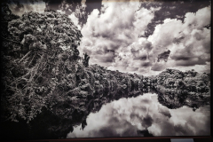 20260312_120040-Gross