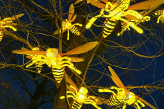 IMG-20240112-WA0000