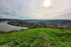 20221023_140845-Gross