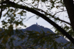 MG_1169-Gross
