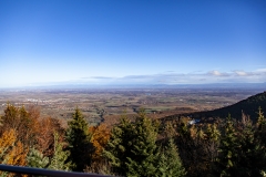 Fernsicht über das Rheintal bis zum Schwarzwald
