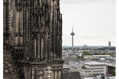 _MG_0008