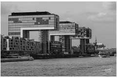 _MG_1026