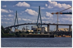 _MG_1246_fc