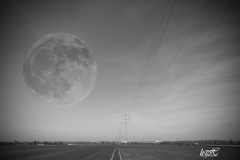 _MG_7745Mond