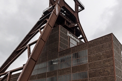 _MG_8705