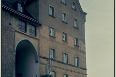 _MG_8923