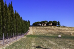Auf dem Weg nach San Gimignano