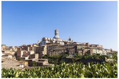 Siena