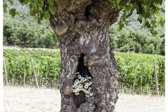 Deko im Baum