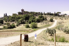Weingut bei Montepulciano