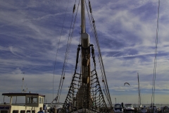 MG_0547