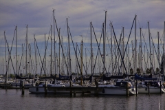 Marina in Volendam