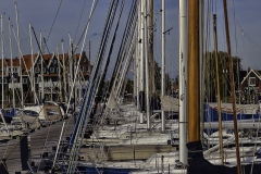 Marina in Volendam