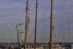 MG_0580