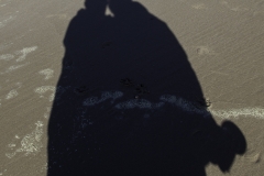 Mal wir 2 im BIld