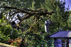 Impressionen in Edam