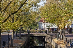 Edam