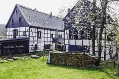 P1010244-Groß